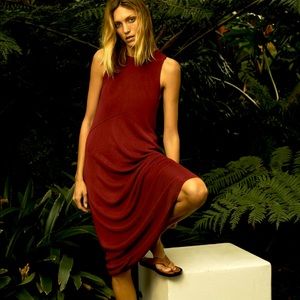 NWT Zara Burgundy long knit dress
